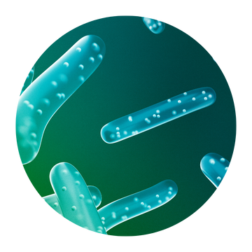 Probiotica