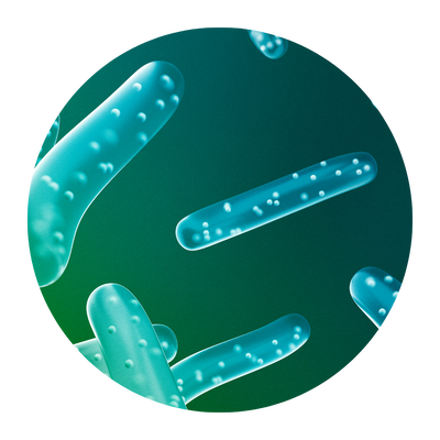 Probiotica