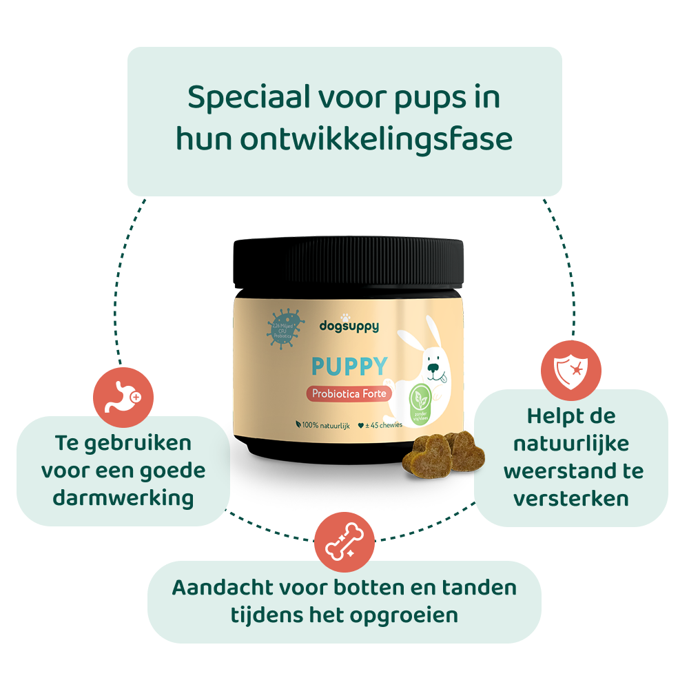Puppy Probiotica (Zonder vlees) 🌿 45 chewies
