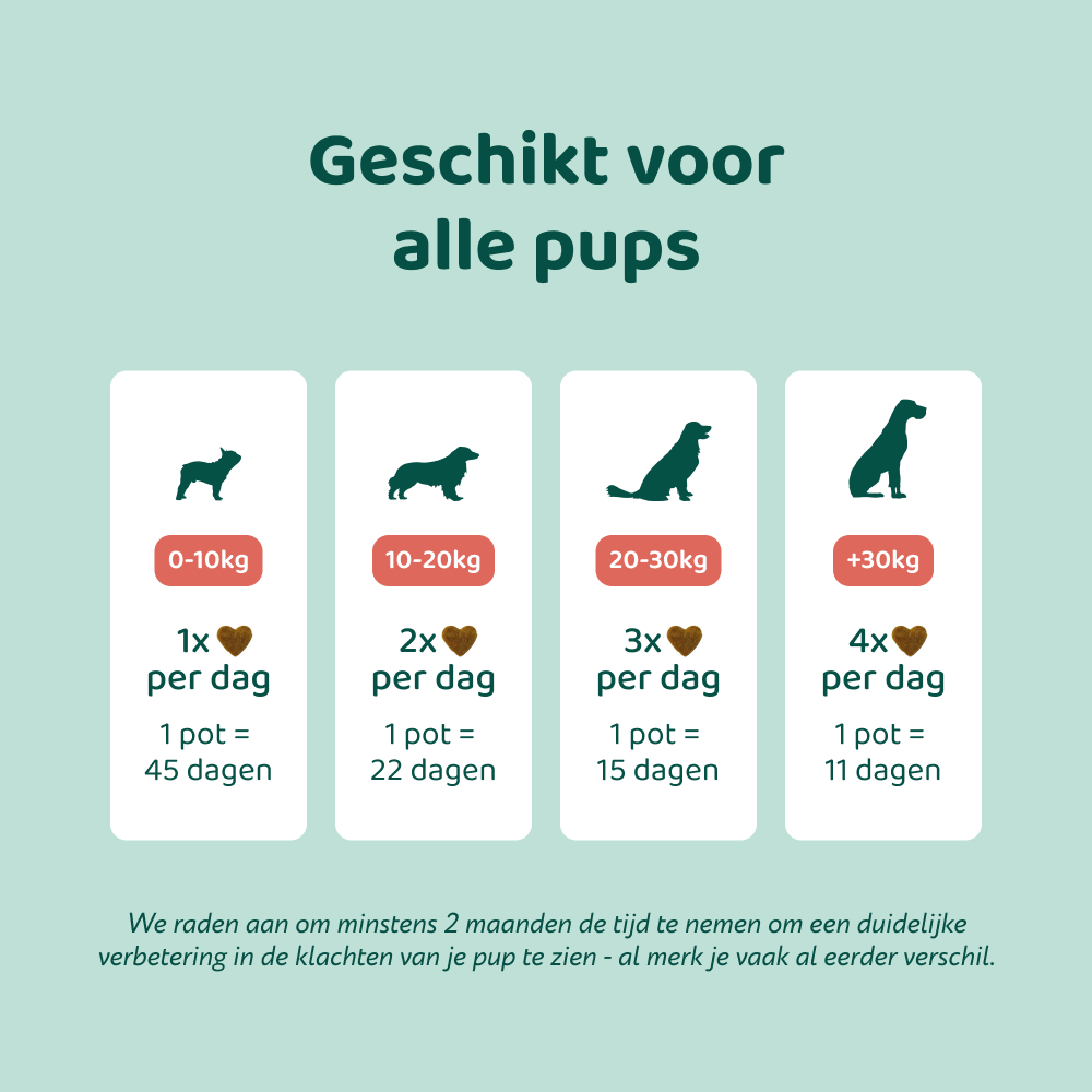 Puppy Probiotica (Zonder vlees) 🌿 45 chewies