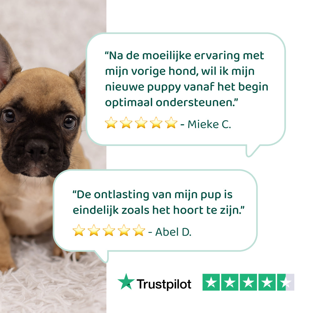 Puppy Probiotica (Zonder vlees) 🌿 45 chewies