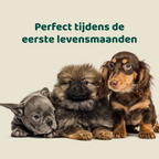 Puppy Probiotica (Zonder vlees) 🌿 45 chewies