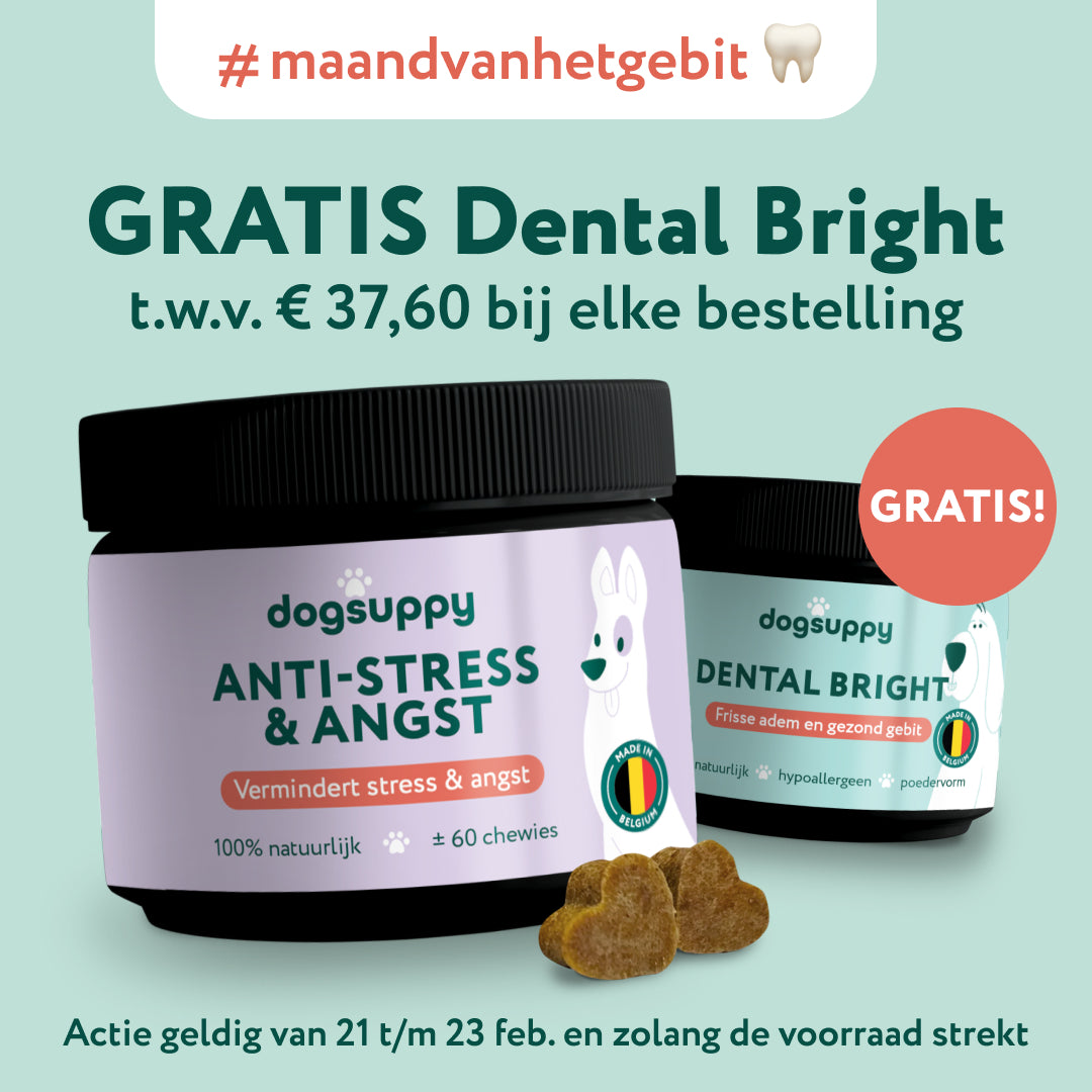 Anti-Stress & Angst | Bevordert rust en stressverlagend | 60 snoepjes