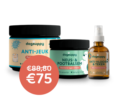 [BUN] Seizoen support
