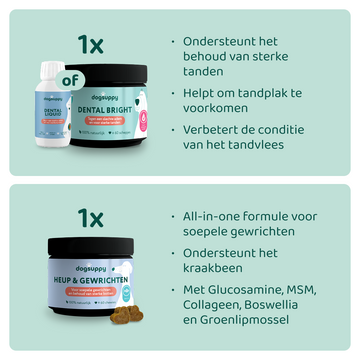 [BUN] Senior support