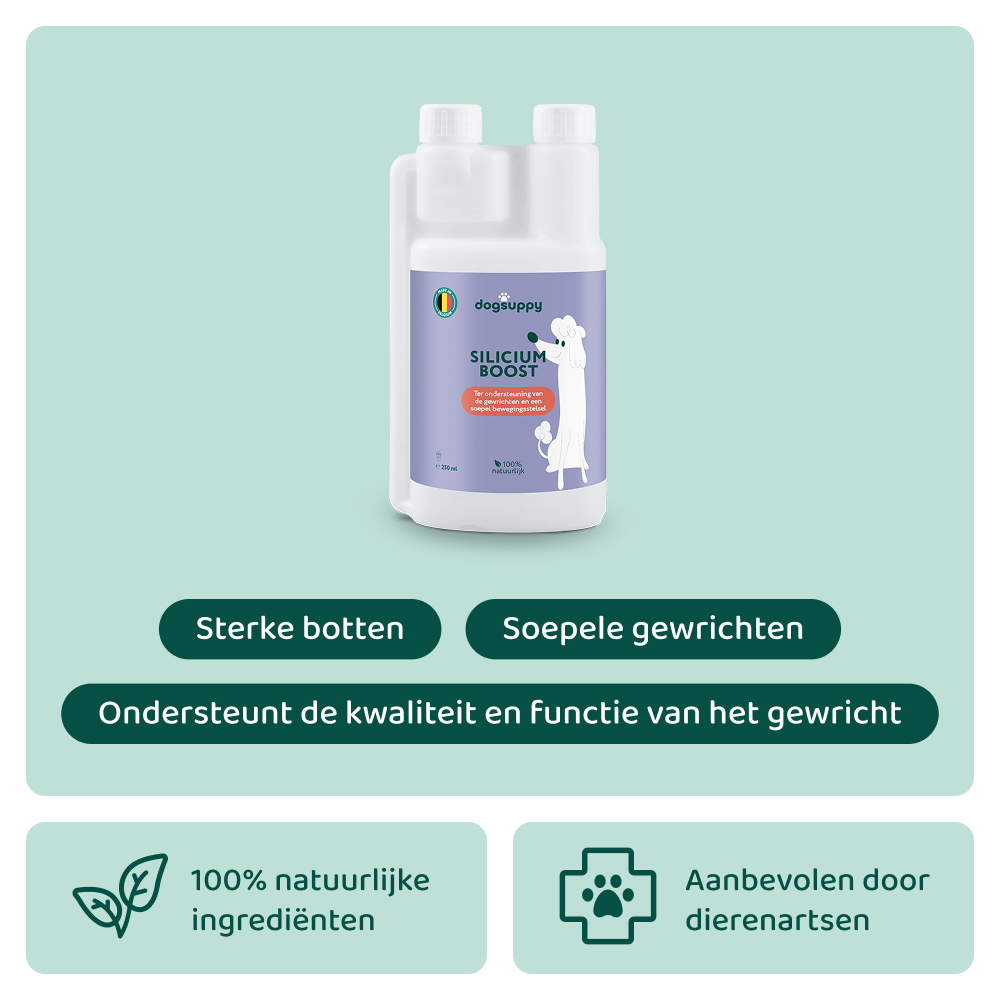 Silicium Boost 🌿 250 ml