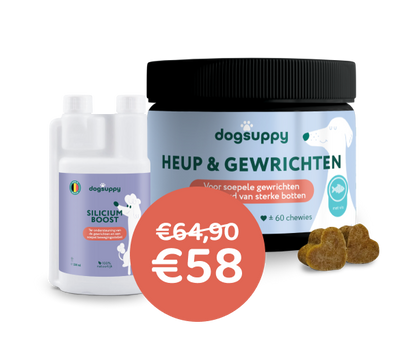[BUN] Soepele Gewrichten