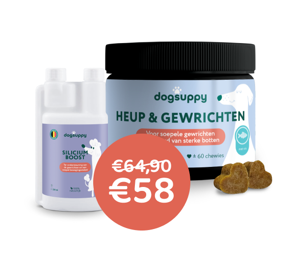 [BUN] Soepele Gewrichten