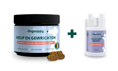 [BUN] Soepele Gewrichten