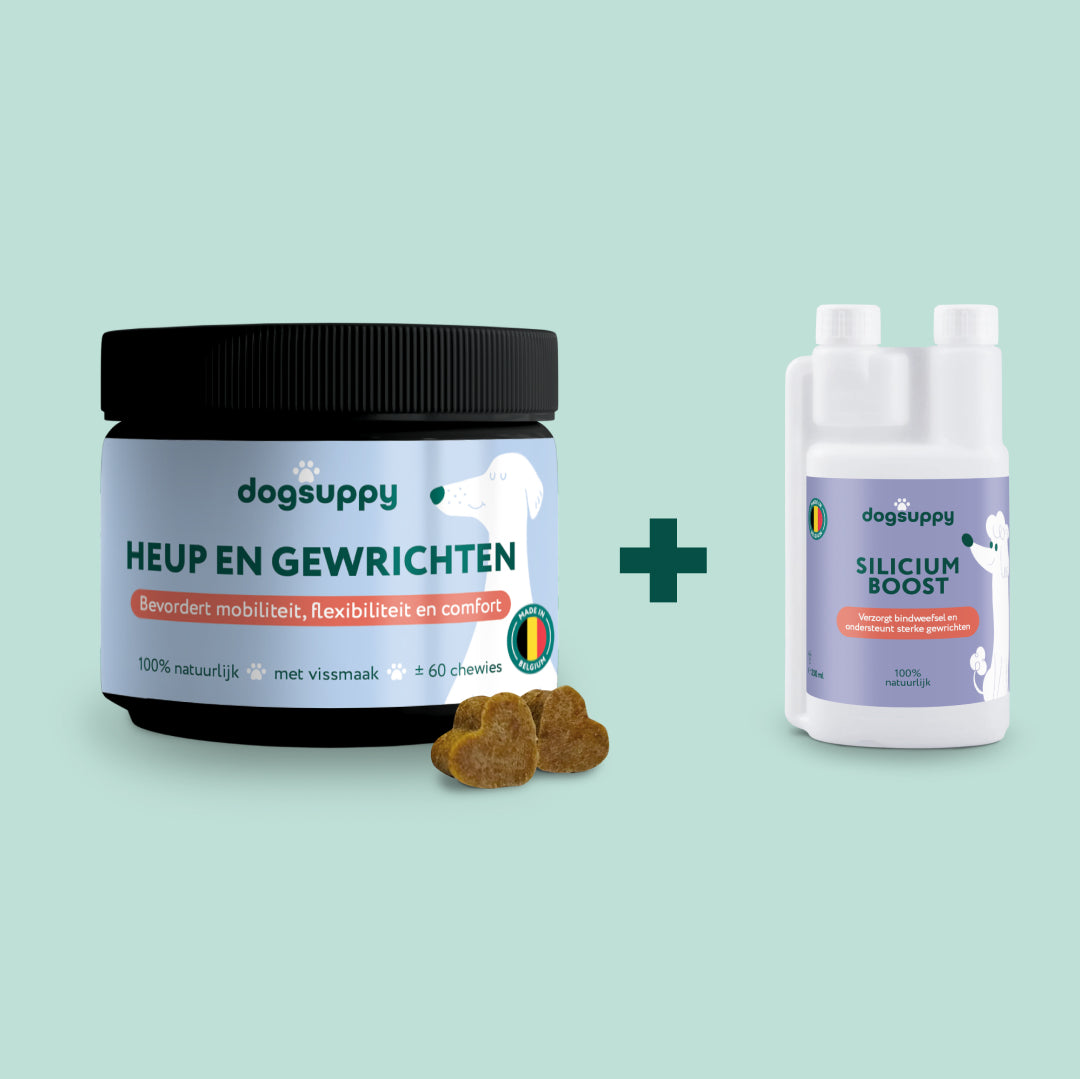[BUN] Soepele Gewrichten