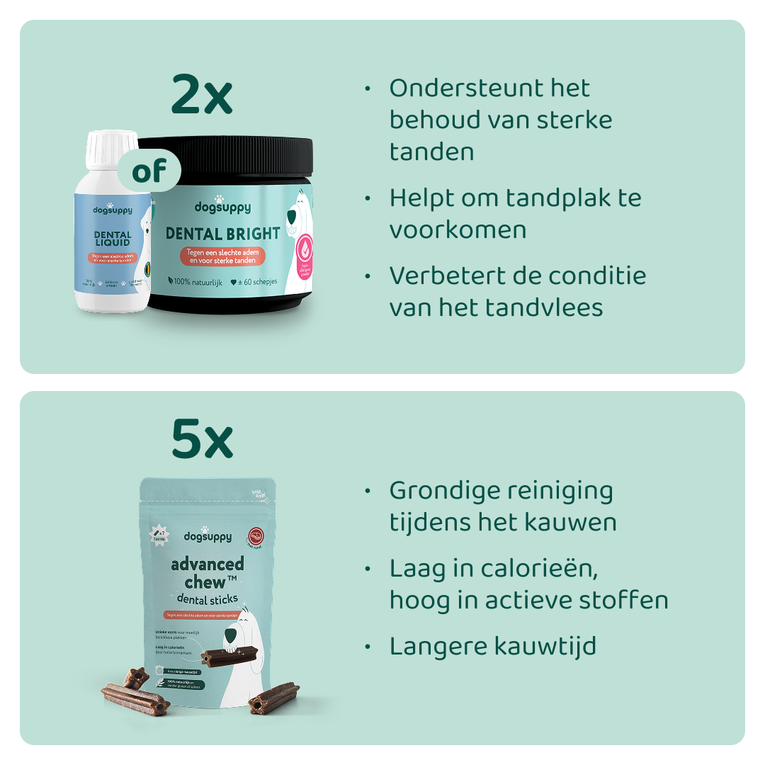 [BUN] Sterk gebit