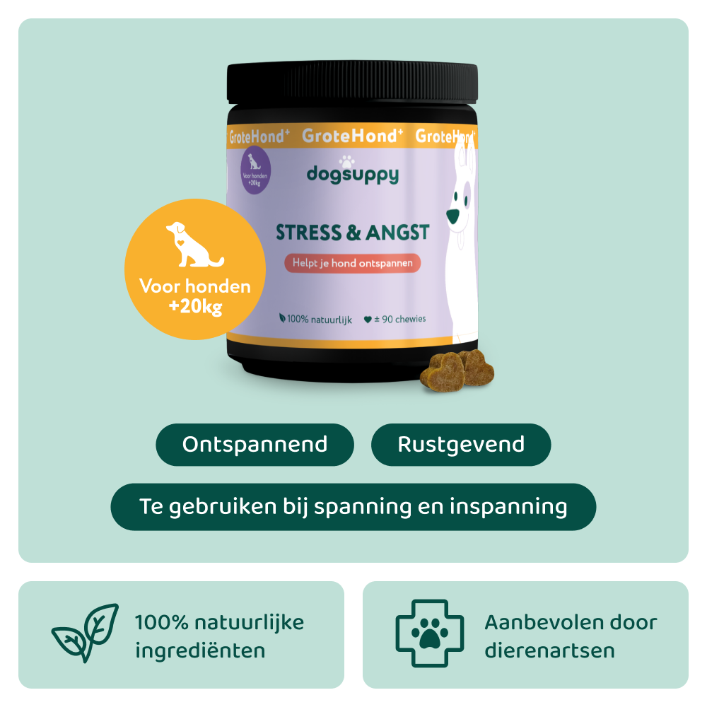 Stress & Angst GroteHond⁺ 🌿 90 snoepjes