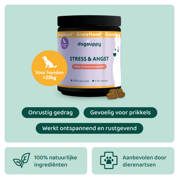 Stress & Angst GroteHond⁺ 🌿 90 snoepjes
