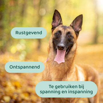 Stress & Angst GroteHond⁺ 🌿 90 snoepjes