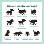 Stress & Angst GroteHond⁺ 🌿 90 snoepjes