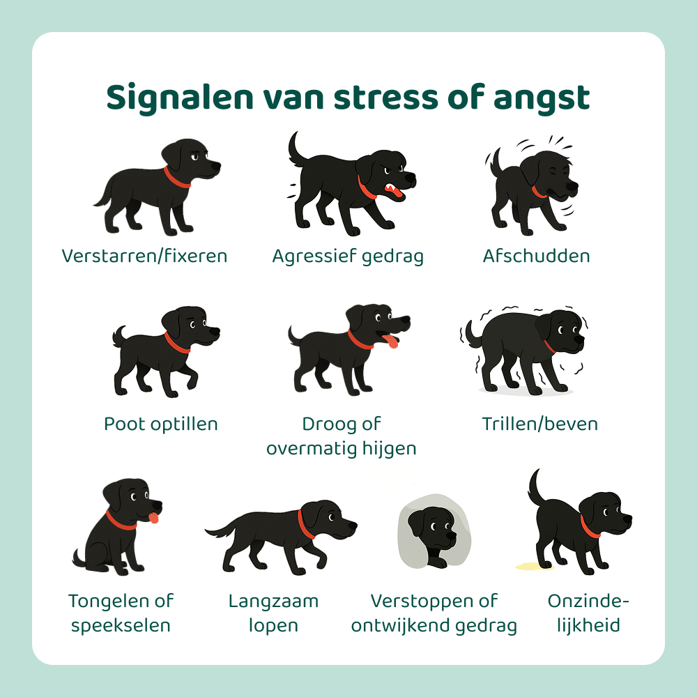 Stress & Angst GroteHond⁺ 🌿 90 snoepjes