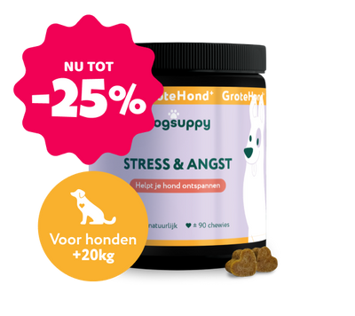 Stress & Angst GroteHond⁺ 🌿 90 snoepjes