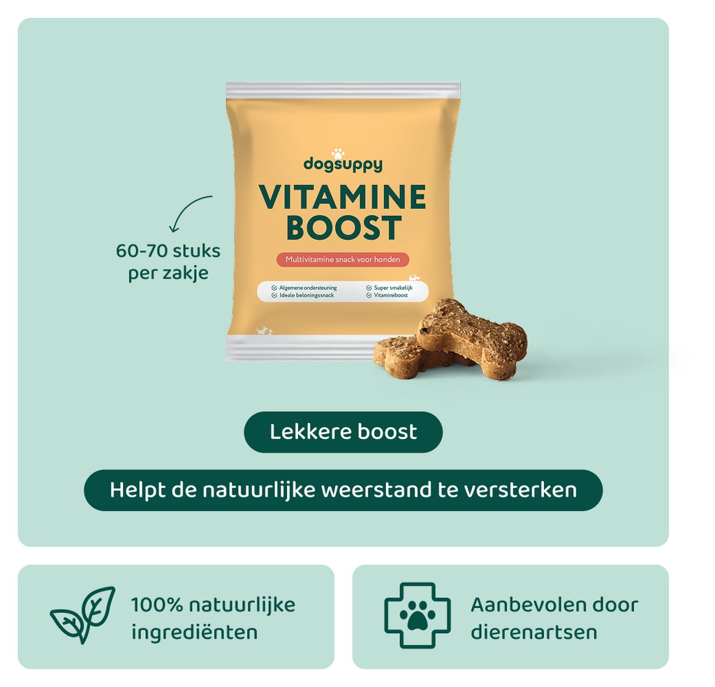 Vitamine Boost 🌿 60-70 stuks/zakje