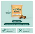 Vitamine Boost 🌿 60-70 stuks/zakje
