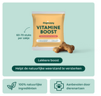 Vitamine Boost 🌿 60-70 stuks/zakje