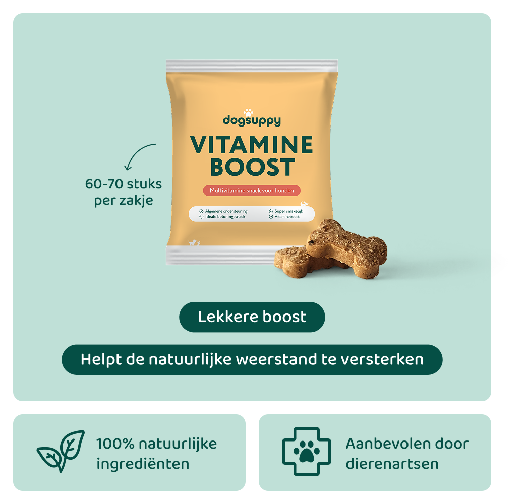 Vitamine Boost 🌿 60-70 stuks/zakje