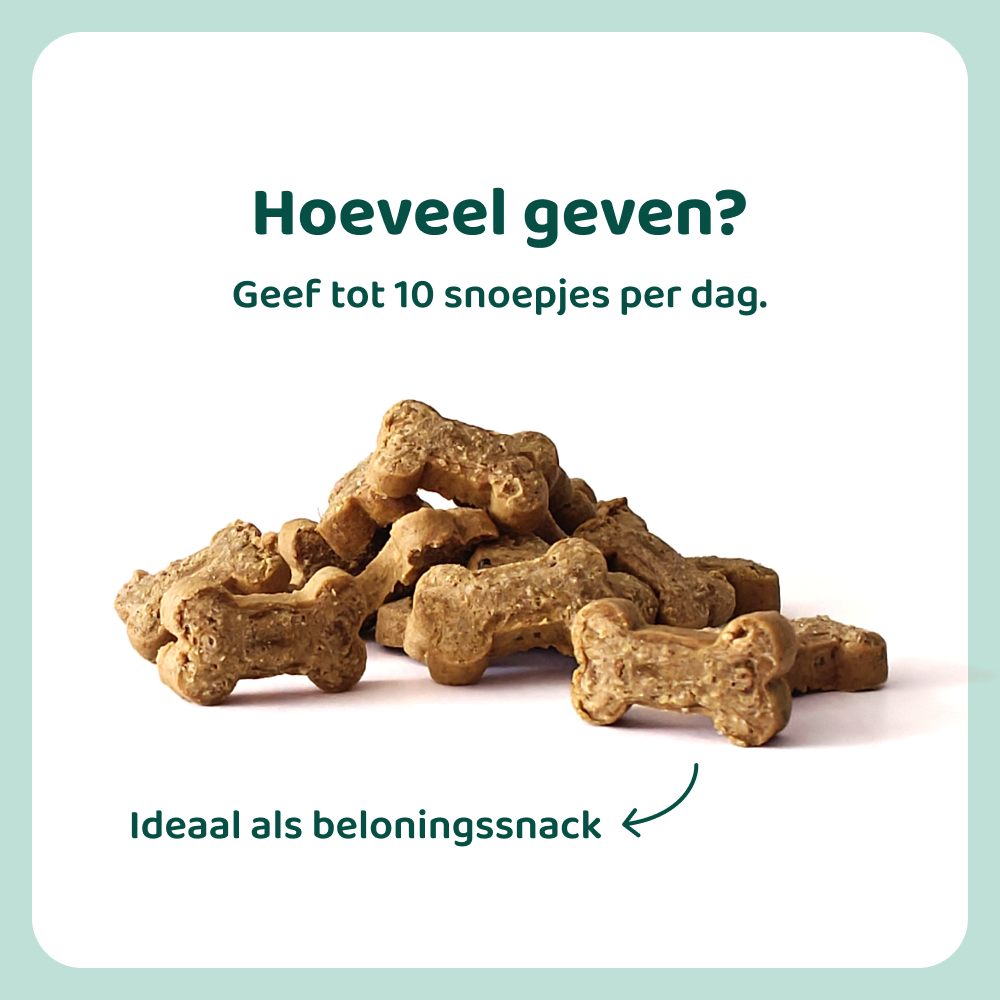 Vitamine Boost 🌿 60-70 stuks/zakje