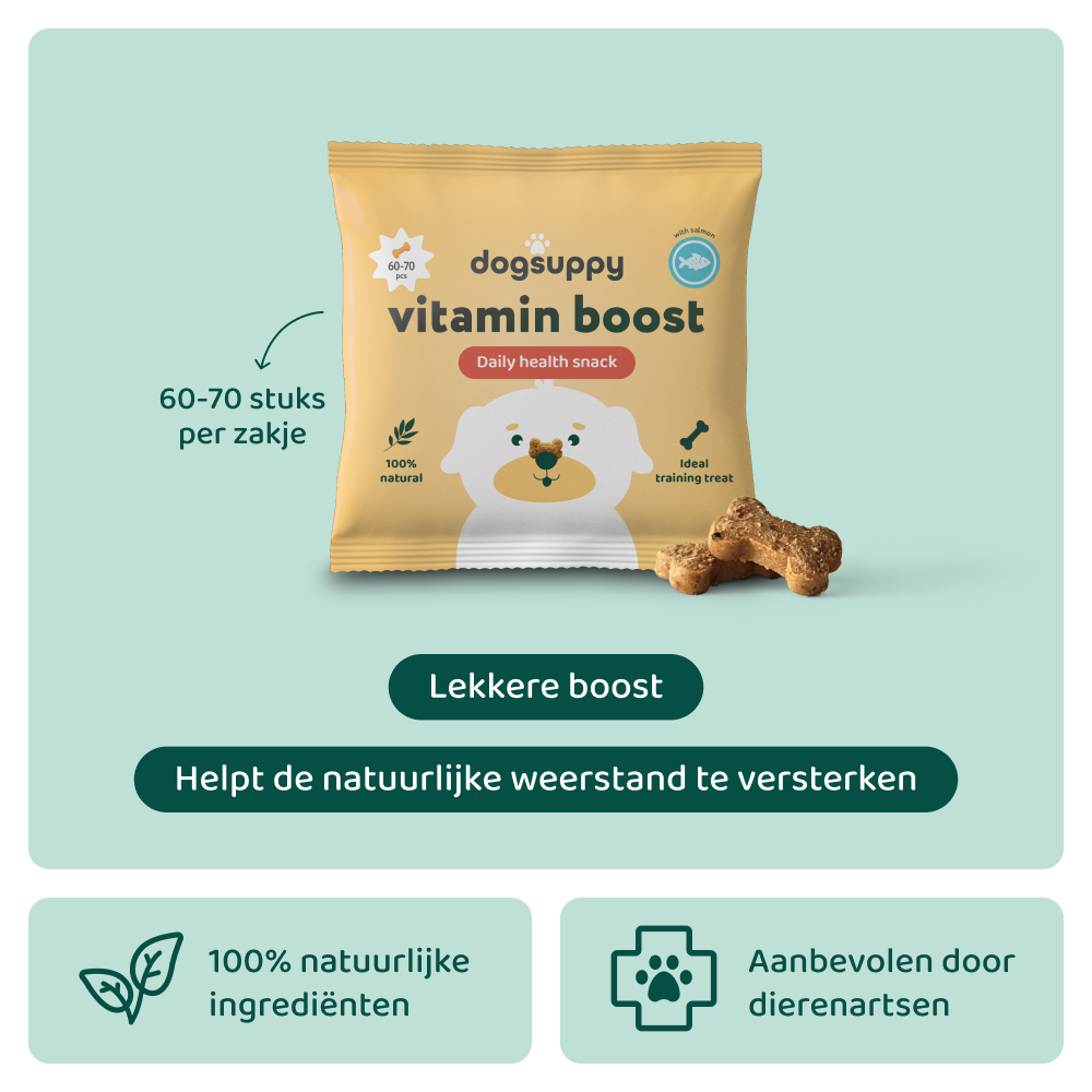 Vitamine Boost 🌿 60-70 stuks/zakje