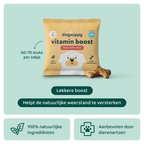 Vitamine Boost 🌿 60-70 stuks/zakje
