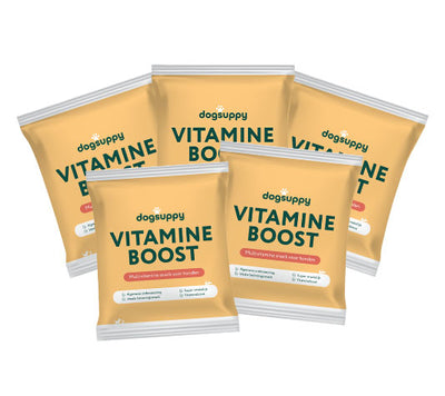 Vitamine Boost 🌿 60-70 stuks/zakje