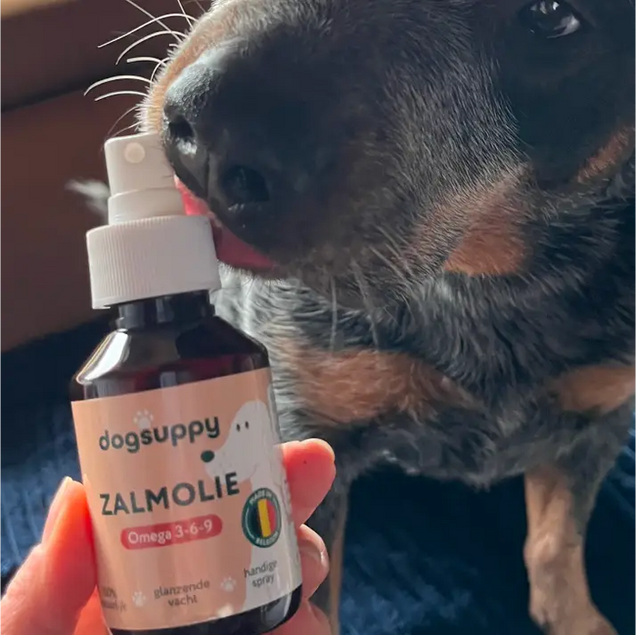 Zalmolie 🌿 250 ml