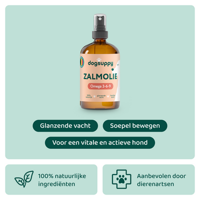 🎁 Zalmolie | Boost voor de gezondheid van je hond | 100 ml (Gratis Geschenk)