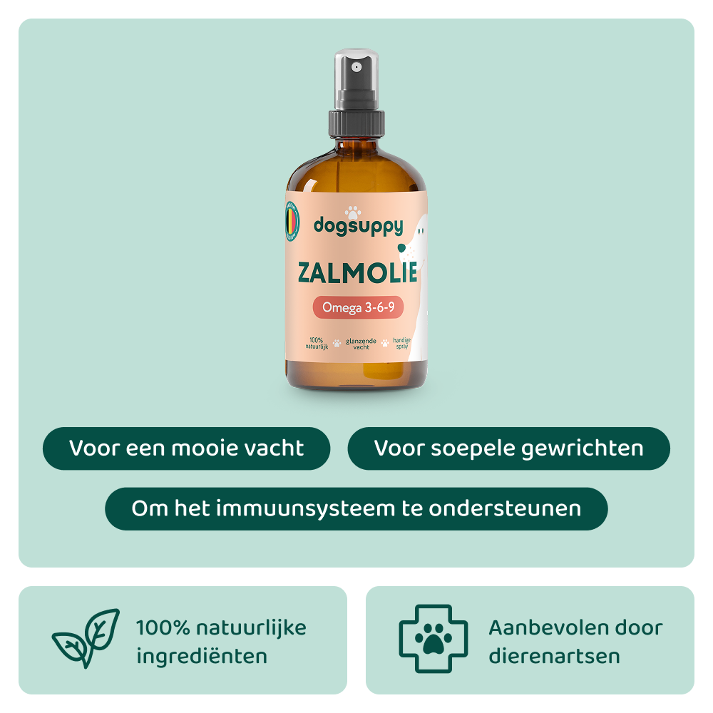 Zalmolie 🌿 250 ml