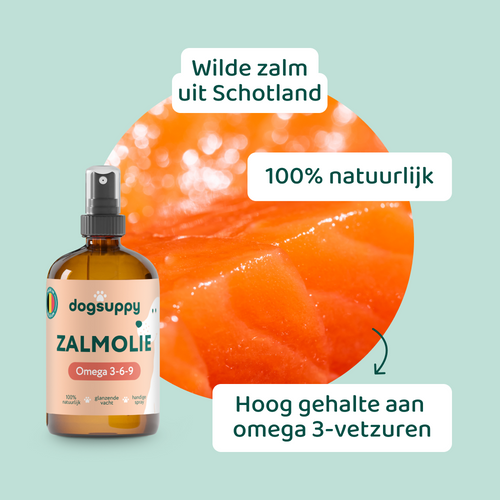 Zalmolie 🌿 250 ml