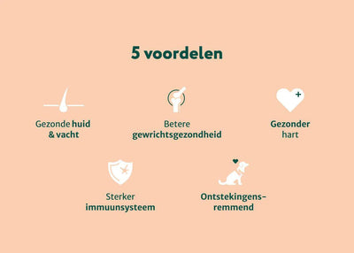 Zalmolie | Boost voor de gezondheid van je hond | 250 ml