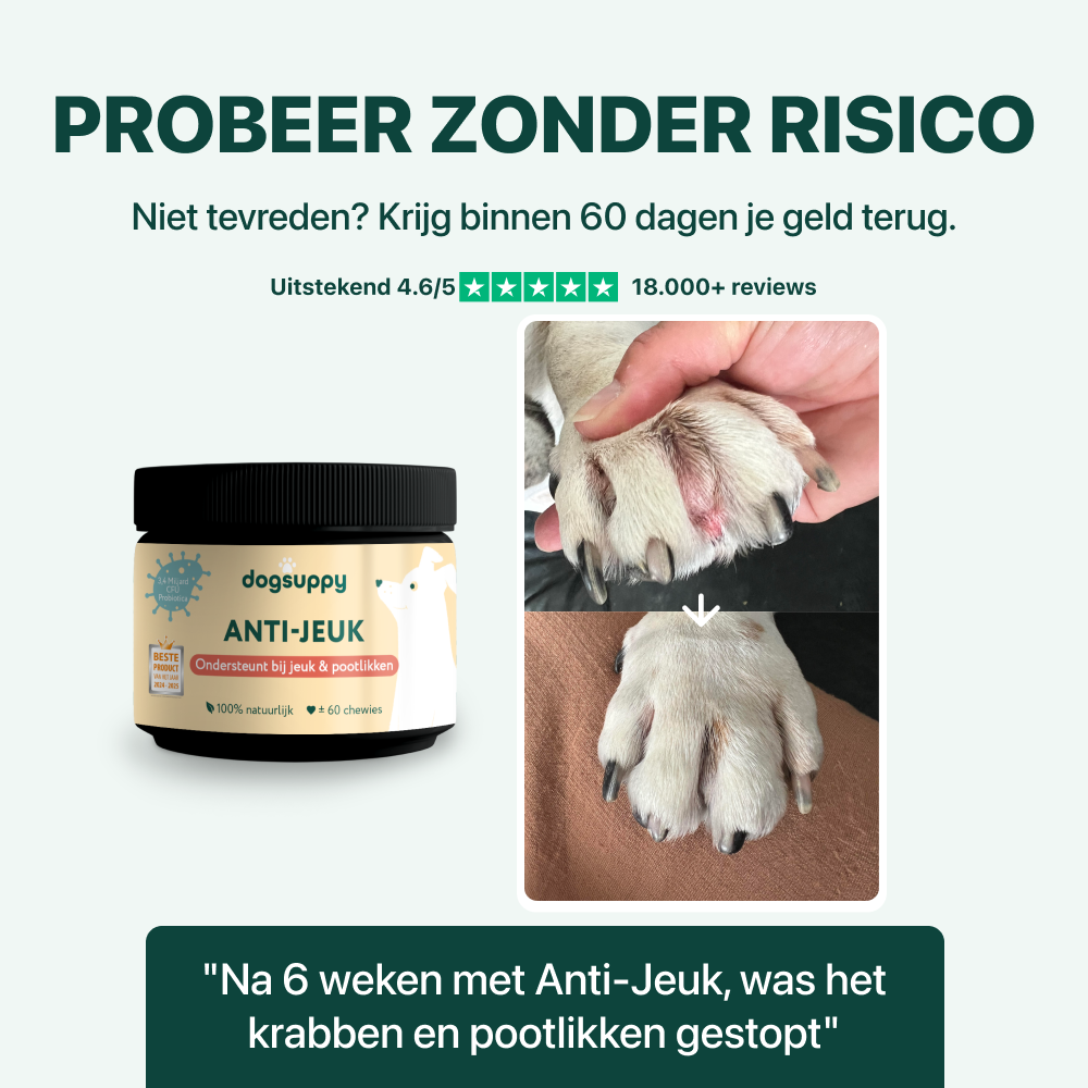 Anti-Jeuk Probiotica Forte | 100% natuurlijk