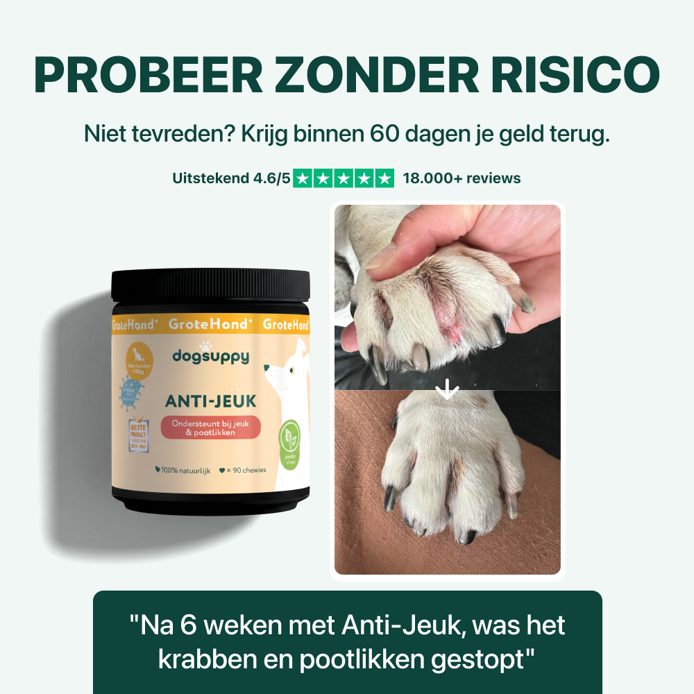 Anti-Jeuk GroteHond⁺ | 90 snoepjes