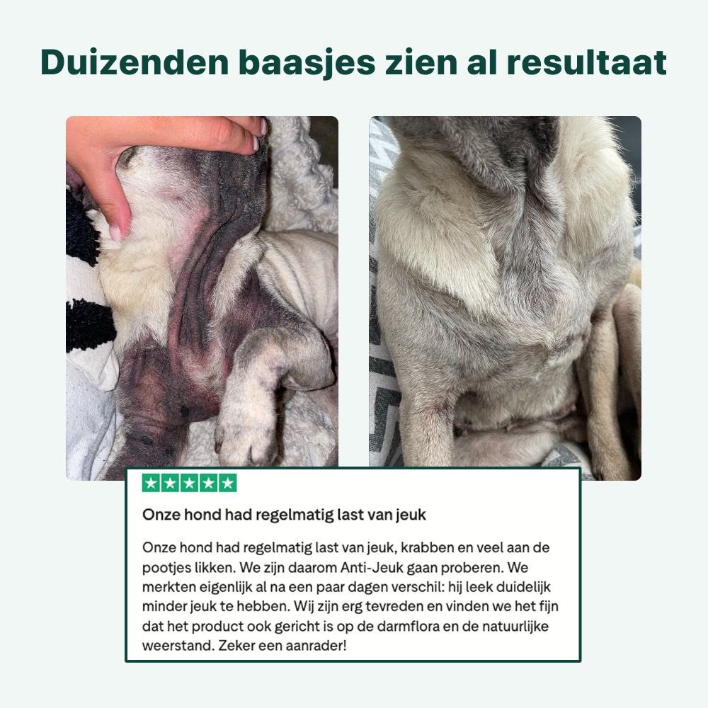 Anti-Jeuk Probiotica Forte | 100% natuurlijk
