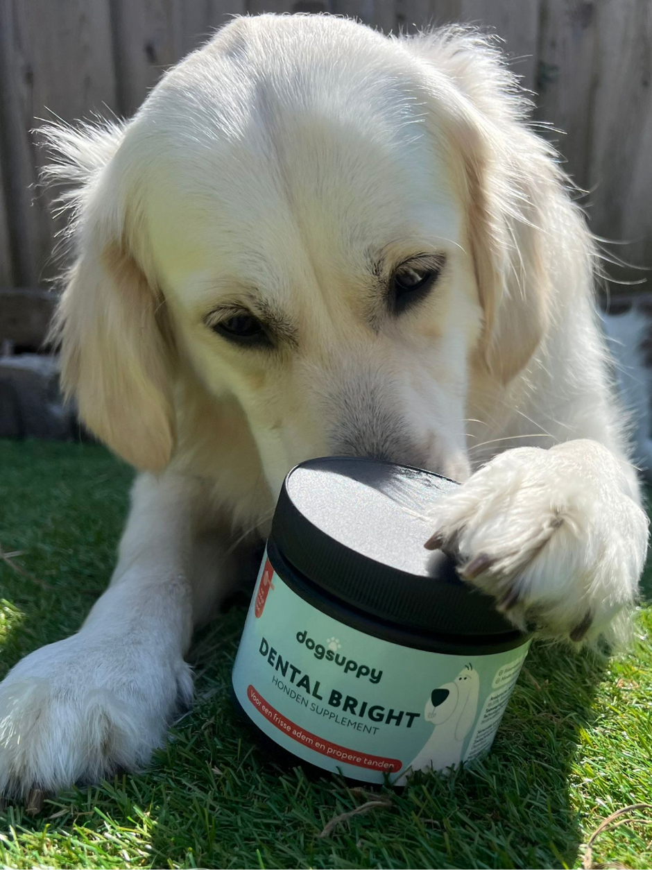 Dental Bright honden supplement | Tegen de slechte adem en om tandplak ...