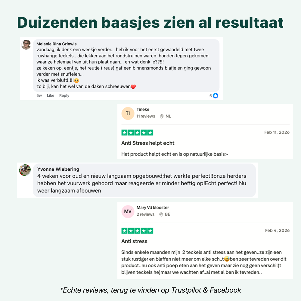 Anti-Stress & Angst | 100% natuurlijk