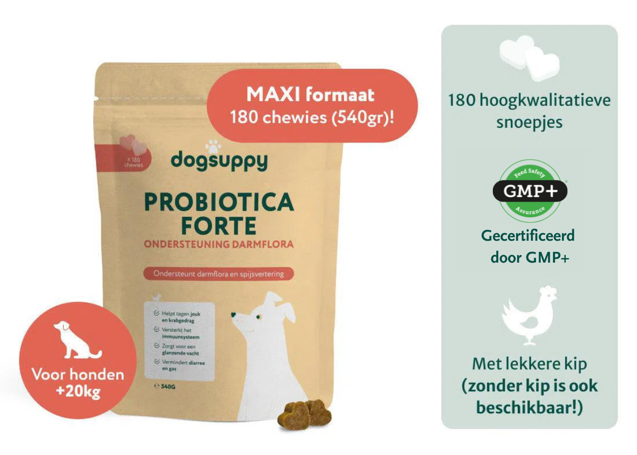 Grote rassen: Probiotica Forte met kip | Ondersteunt darmflora en spijsvertering | 180 snoepjes maxi-pack