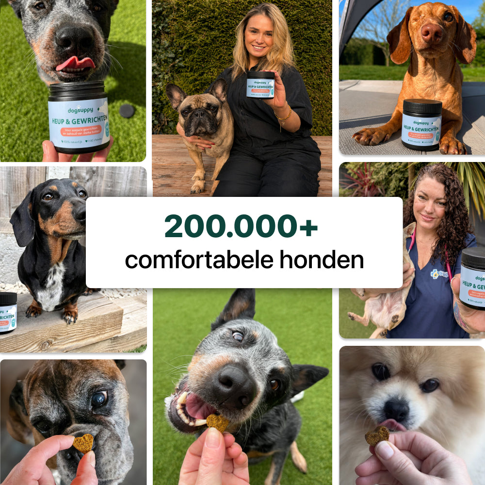 Heup & Gewrichten | 100% natuurlijk | 60 snoepjes