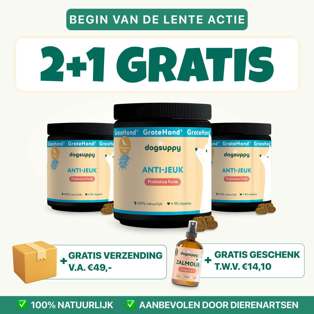 Anti-Jeuk GroteHond⁺ | 90 snoepjes