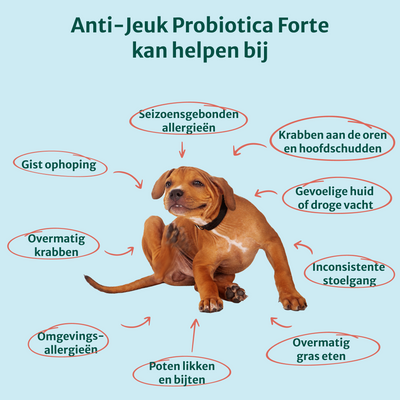 Anti-Jeuk Probiotica zonder vlees | 100% natuurlijk | 60 snoepjes