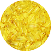 Omega 3 6 9 Huid Vacht chewy supplement hond