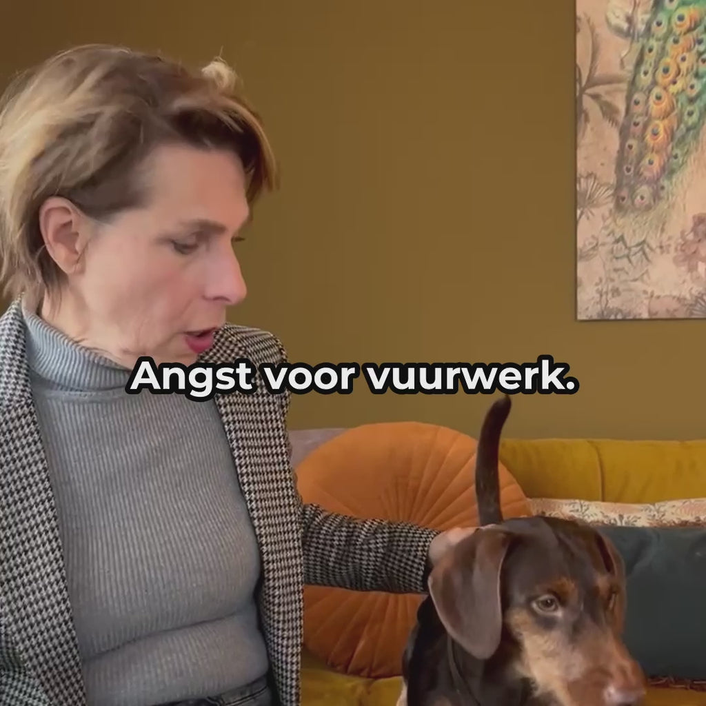 Anti-Stress & Angst | 100% natuurlijk