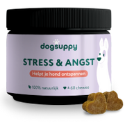 Stress & Angst