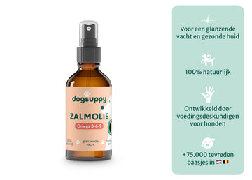 Zalmolie | Boost voor de gezondheid van je hond | 100 ml