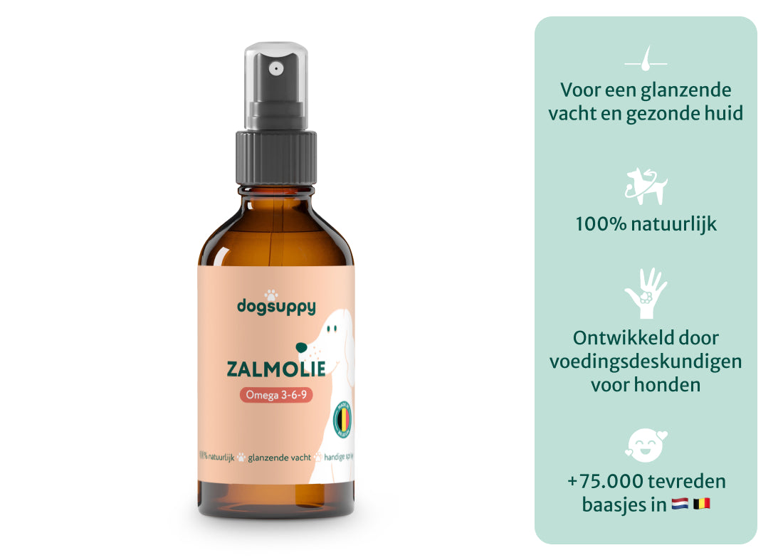 Zalmolie | Boost voor de gezondheid van je hond | 250 ml